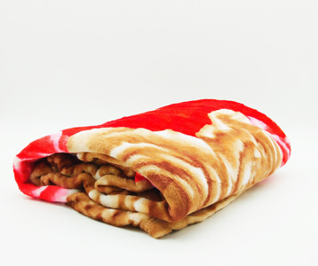 Blanket - 1216